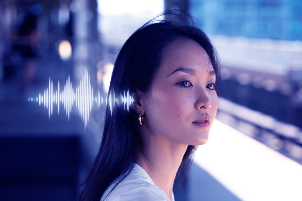 Voice Quality - Network Technology